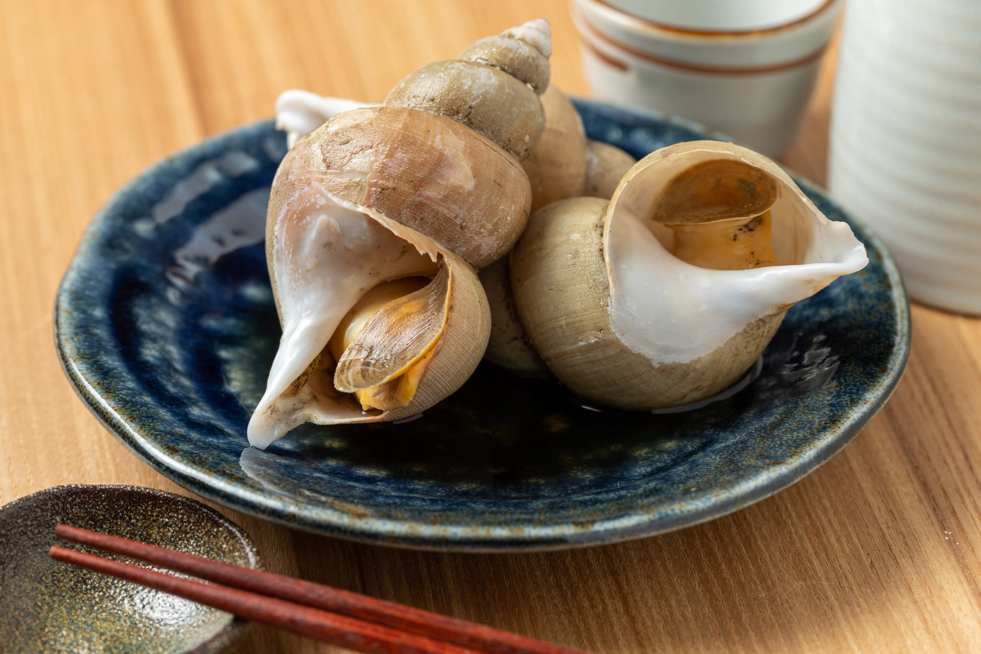 巻貝の魅力は？高級食材としての特徴を解説